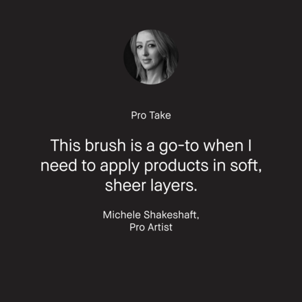 Sheer Powder Brush 6 Sheer Powder Brush