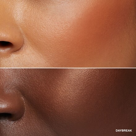 Powder Blush 3 Powder Blush