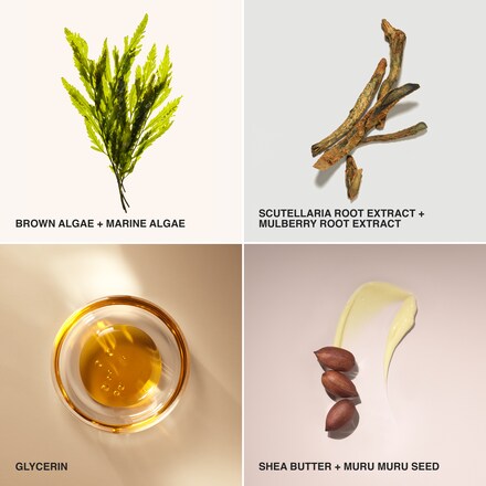 Extra Repair Eye Cream Intense Refill 4 Extra Repair Eye Cream Intense Refill